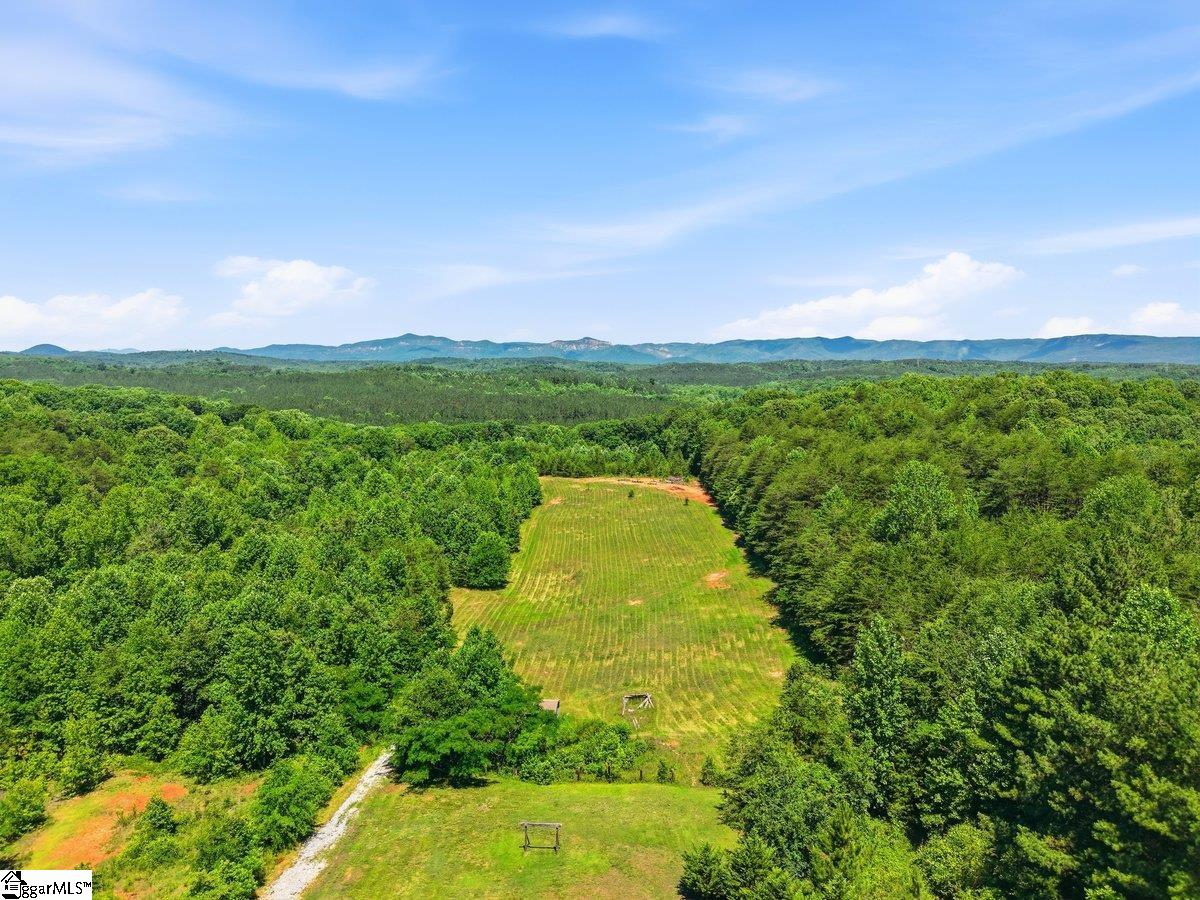 619 Little Pond Road Easley, SC 29640 - Photo 45 of 47