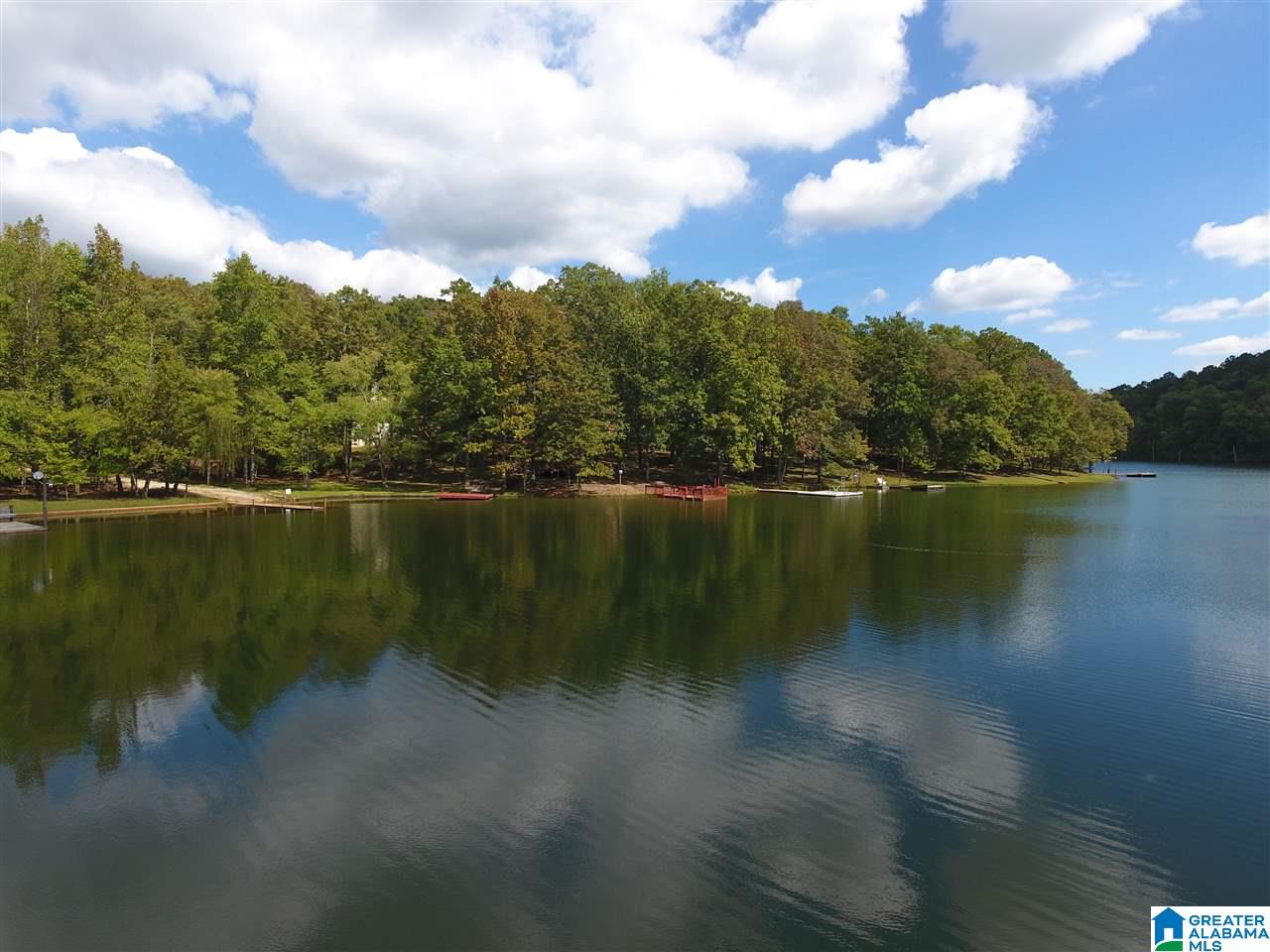 100 Fox Run Lineville, AL 36266 - Photo 28 of 30