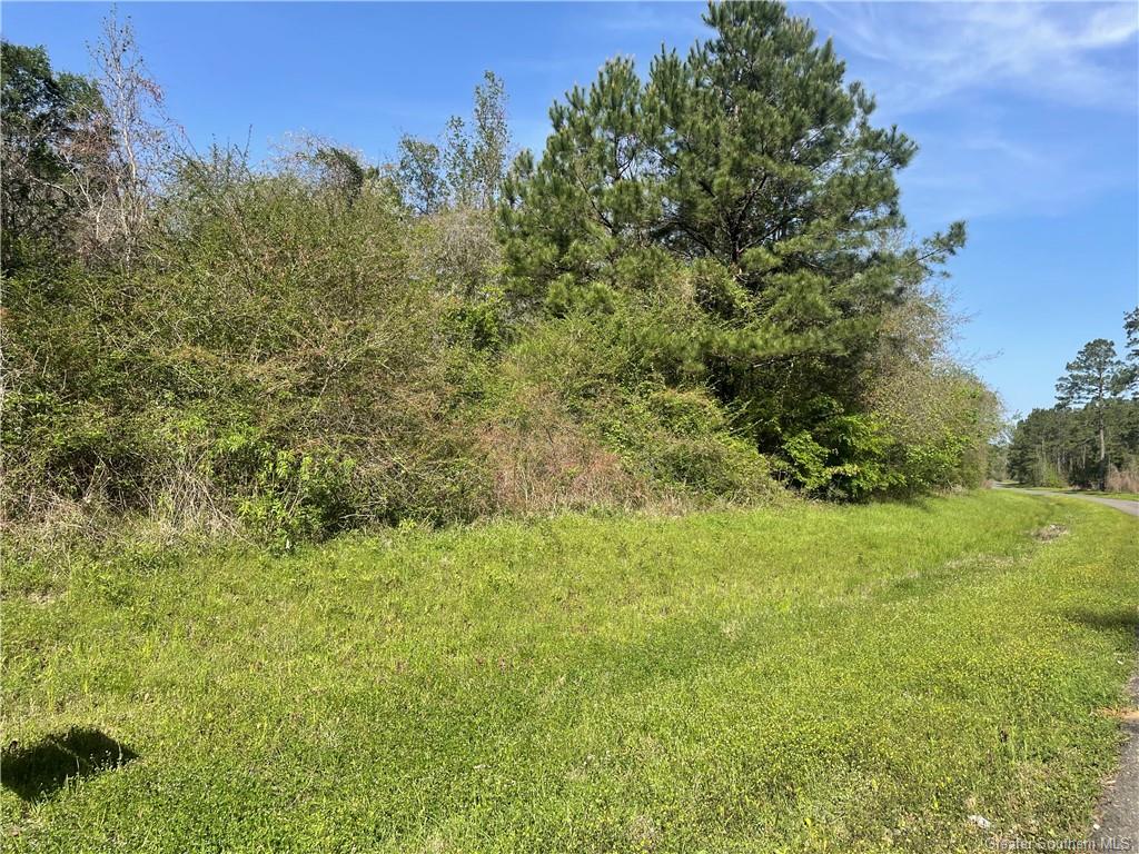 0 Jarrell Loop Evans, LA 70639 - Photo 3 of 5 Gallery Image 3