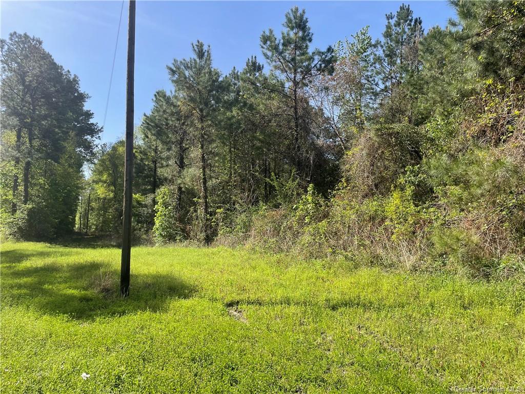 0 Jarrell Loop Evans, LA 70639 - Photo 4 of 5 Gallery Image 4