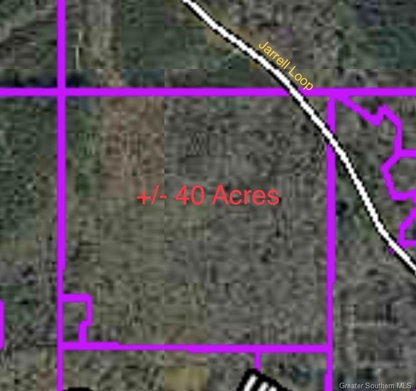 0 Jarrell Loop Evans, LA 70639 - Photo 5 of 5 Gallery Image 5