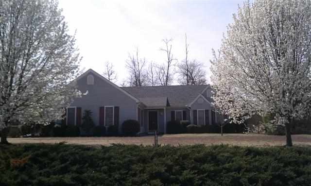 103 Periwinkle Court Pendleton, SC 29670 - Photo 12 of 12 Gallery Image 12