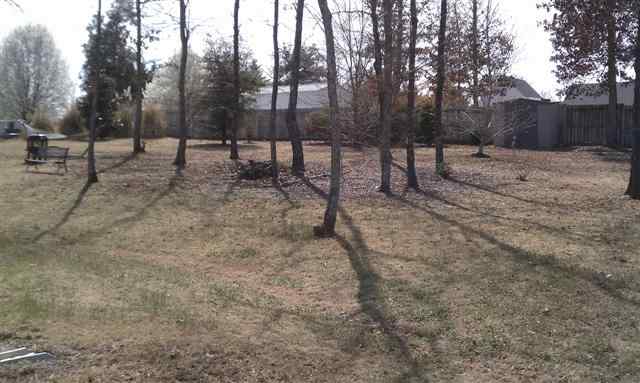 103 Periwinkle Court Pendleton, SC 29670 - Photo 8 of 12 Gallery Image 8