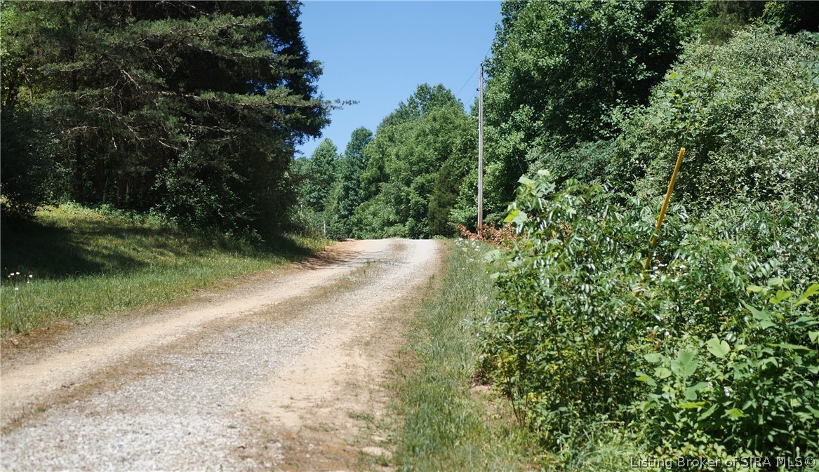 164 West State Road Eckerty, IN 47116 - Photo 14 of 31