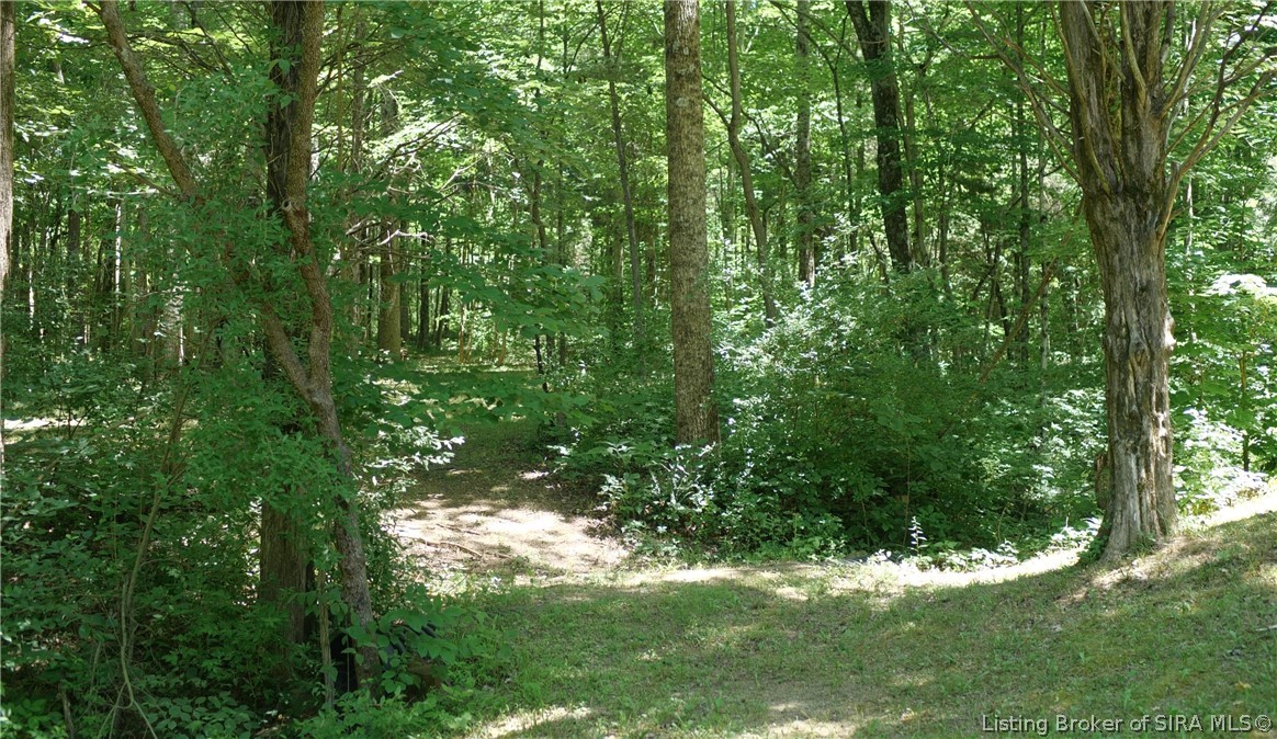 164 West State Road Eckerty, IN 47116 - Photo 23 of 31