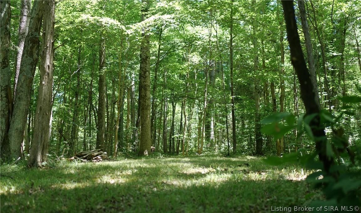 164 West State Road Eckerty, IN 47116 - Photo 24 of 31