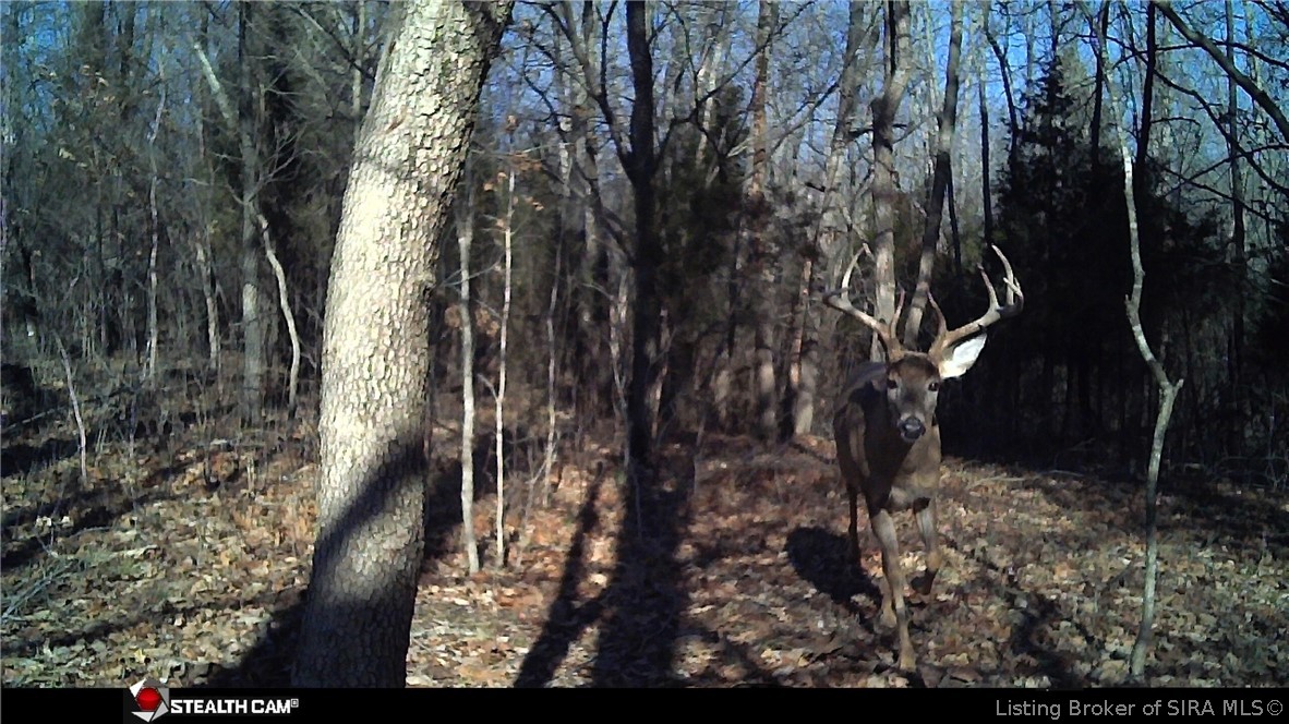 164 West State Road Eckerty, IN 47116 - Photo 25 of 31