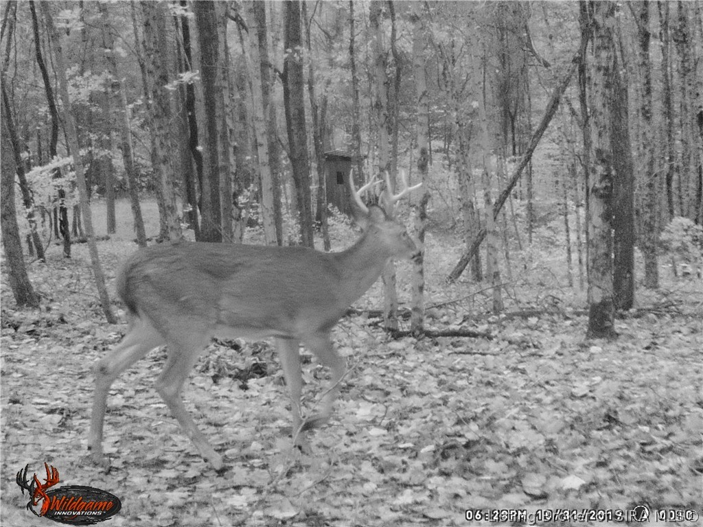 164 West State Road Eckerty, IN 47116 - Photo 27 of 31