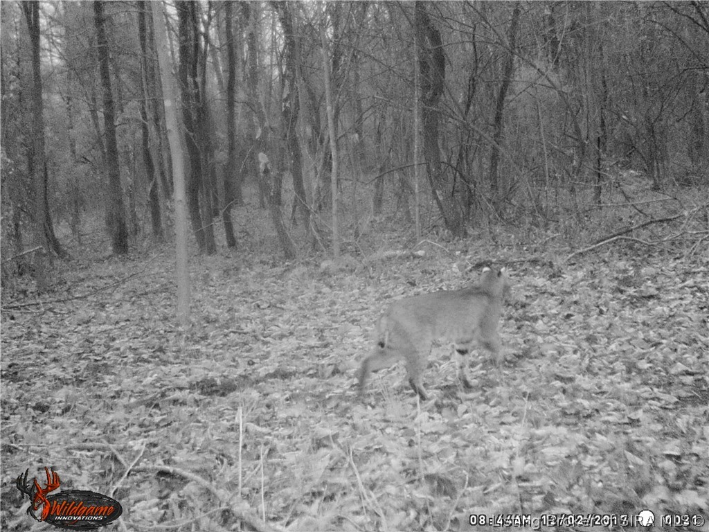 164 West State Road Eckerty, IN 47116 - Photo 28 of 31