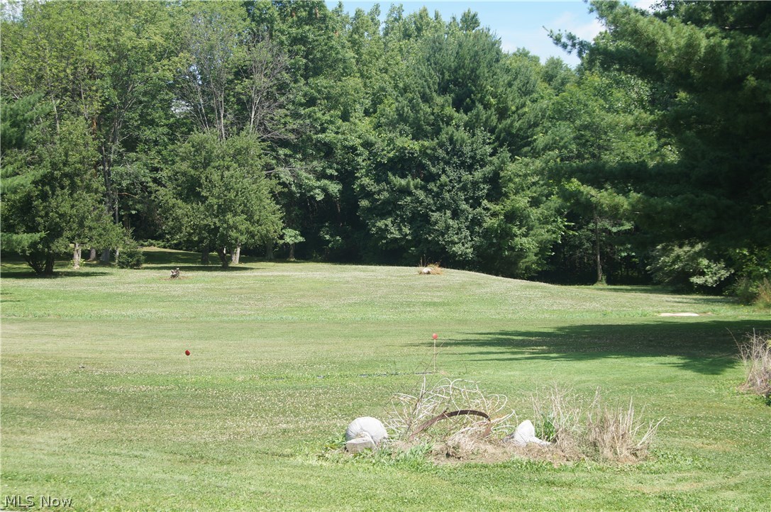 3549 Sandy Lake Road Ravenna, OH 44266 - Photo 18 of 22 Gallery Image 18