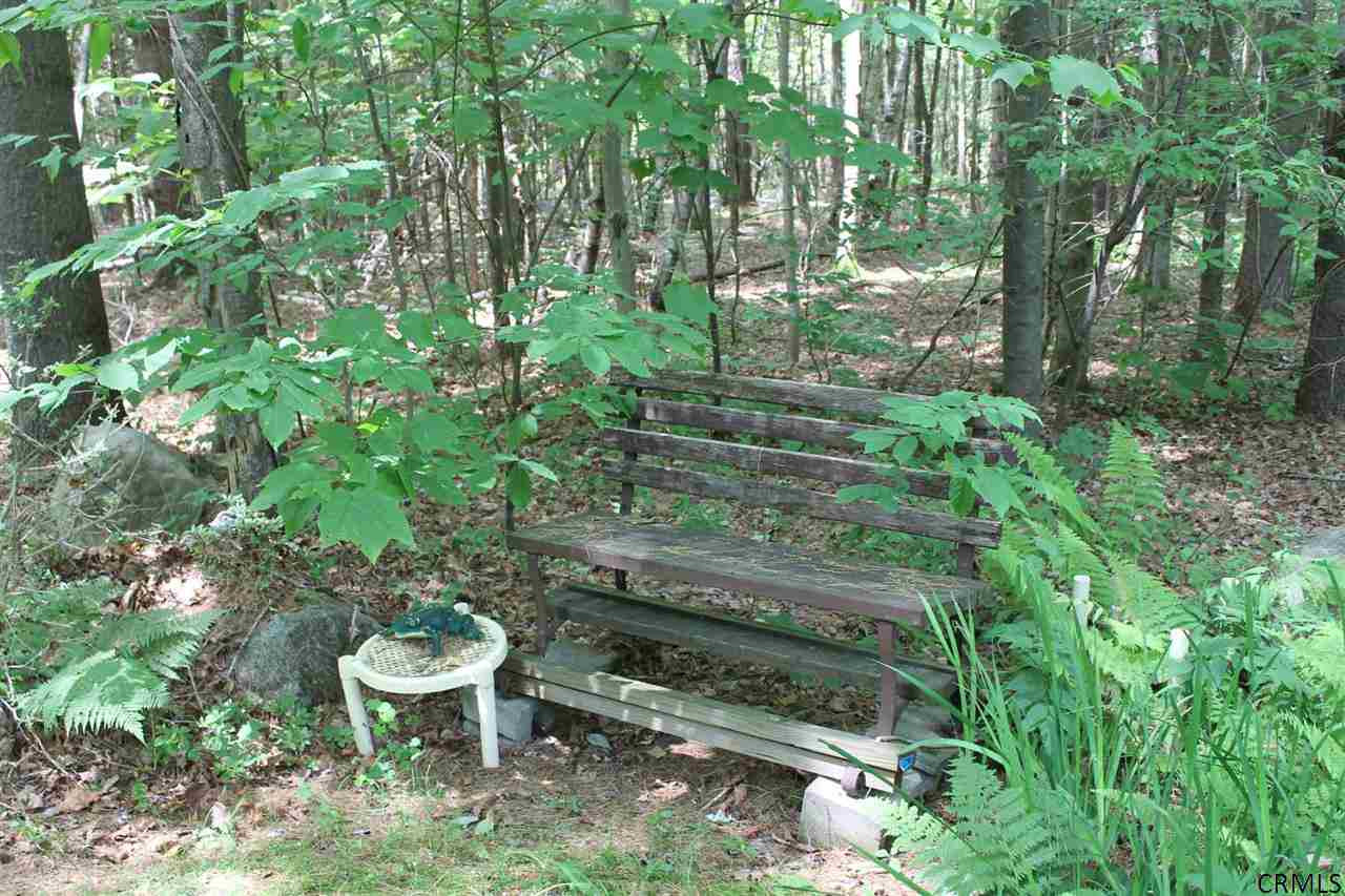 383 Snow Road Day, NY 12835 - Photo 17 of 23 Photo 17
