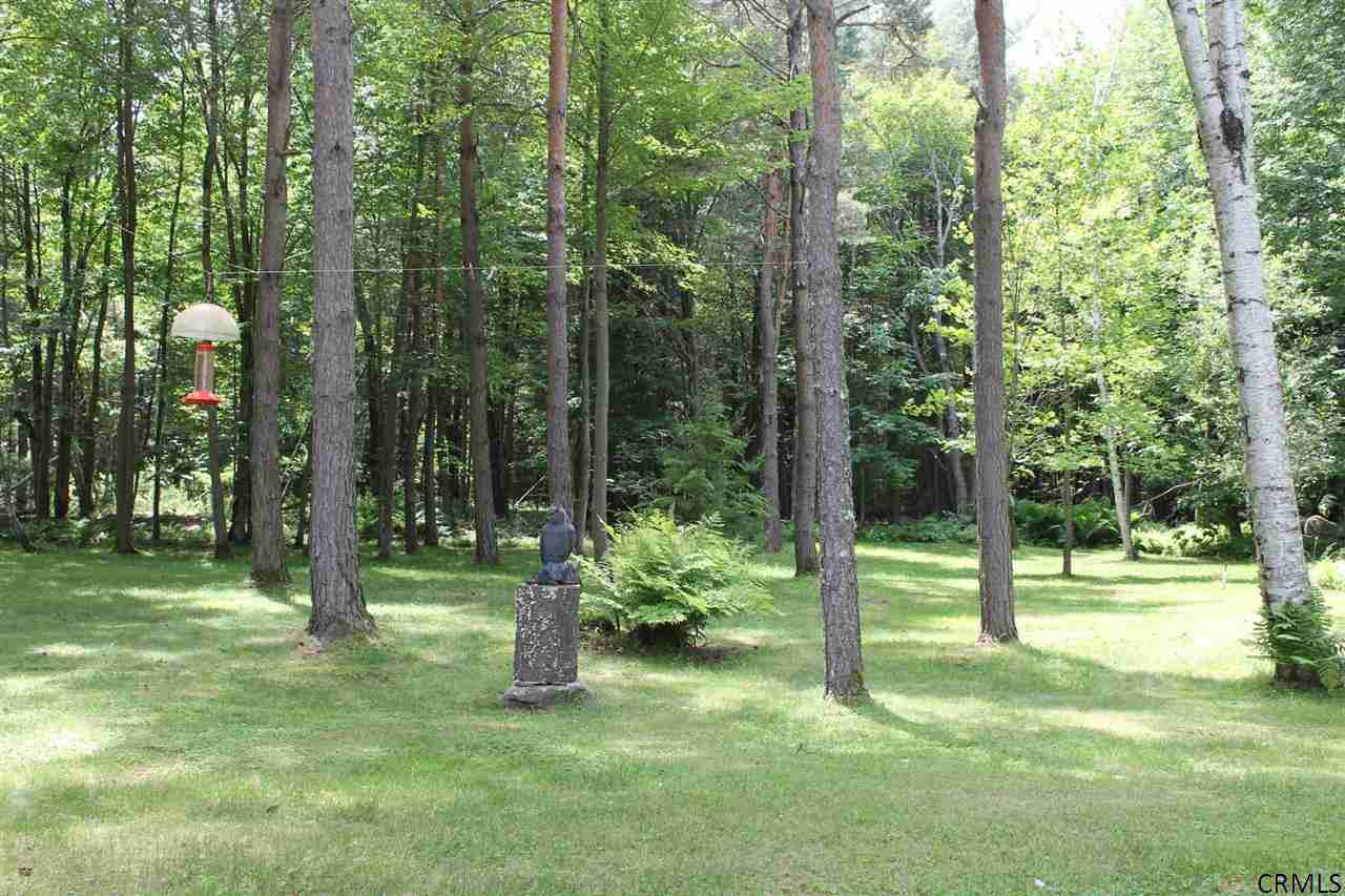 383 Snow Road Day, NY 12835 - Photo 18 of 23 Photo 18