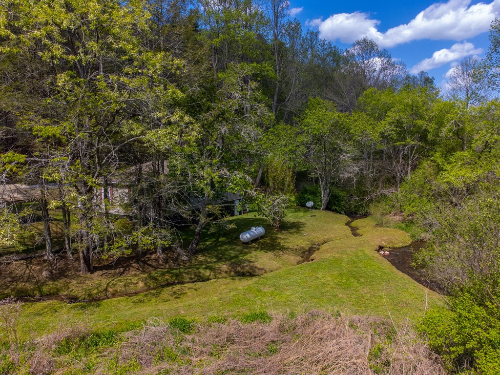 1303 Atoah Road Robbinsville, NC 28771 - Photo 53 of 62