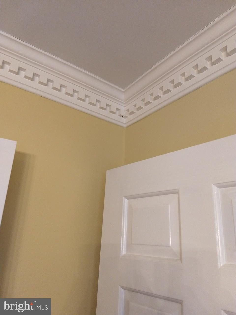 3906 Laurel Road Alexandria, VA 22309 - Photo 28 of 108 Dental Molding