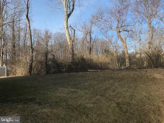 9563 Watts Road Owings Mills, MD 21117 - Photo 17 of 17 Serene wooded landscape awaits exploration.