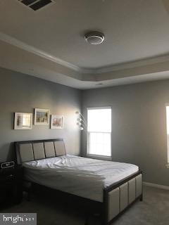 9563 Watts Road Owings Mills, MD 21117 - Photo 9 of 17 Serene bedroom with natural light.