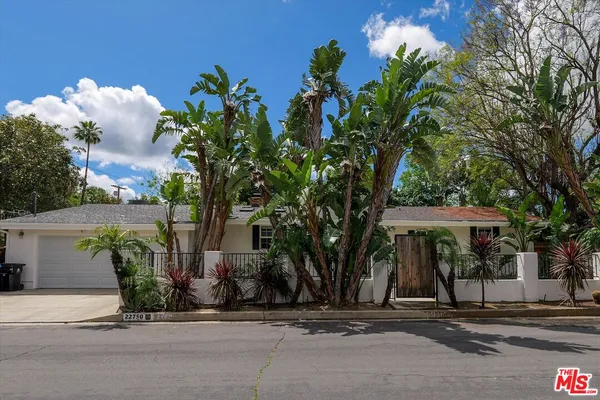 front view of a house with a potted plants and a large tree