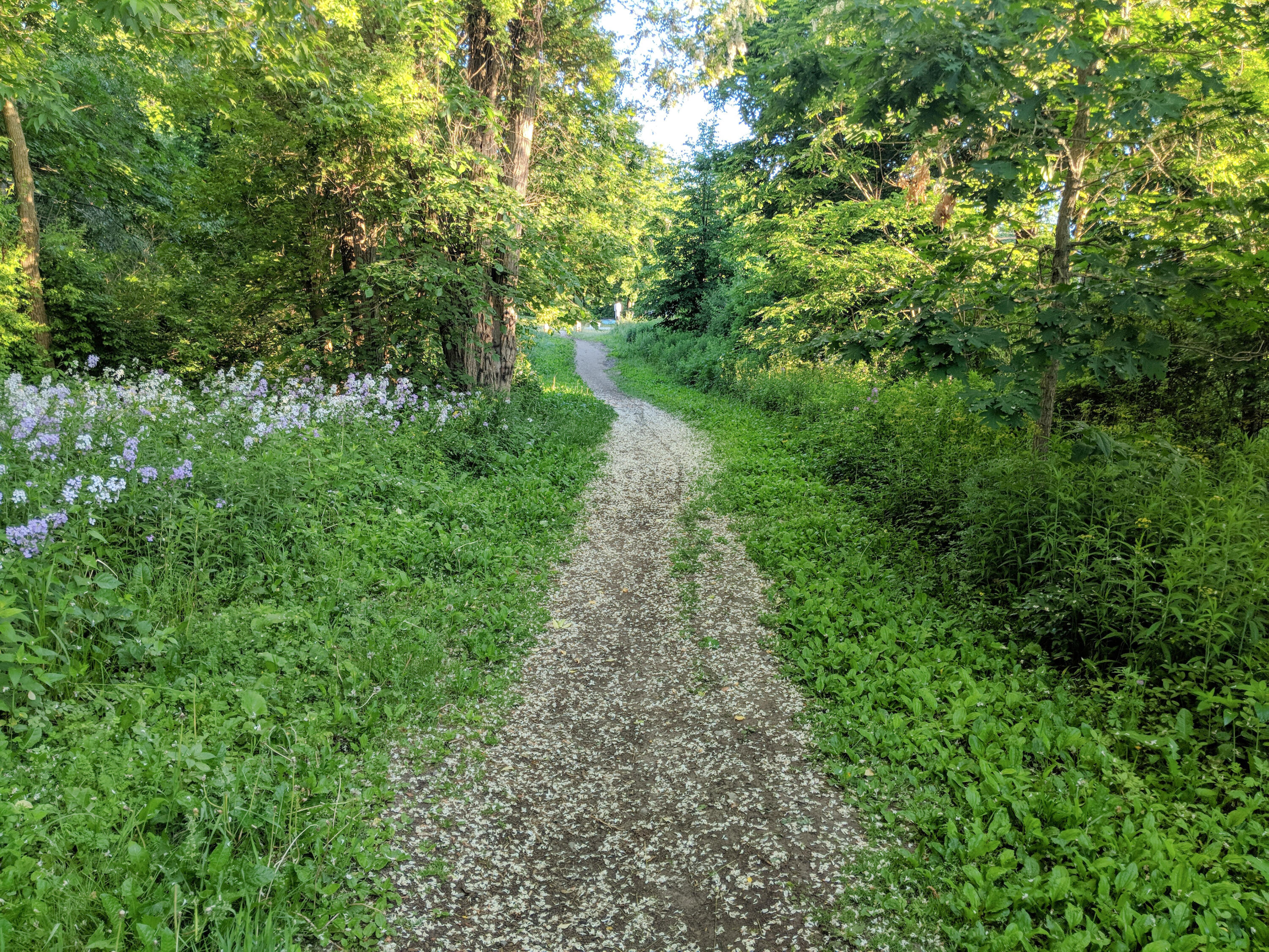 349 Capisic Street Portland, ME 04102 - Photo 24 of 27 Nearby walking path