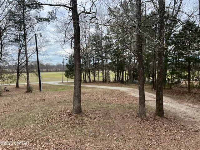 a view of outdoor space with lots of trees