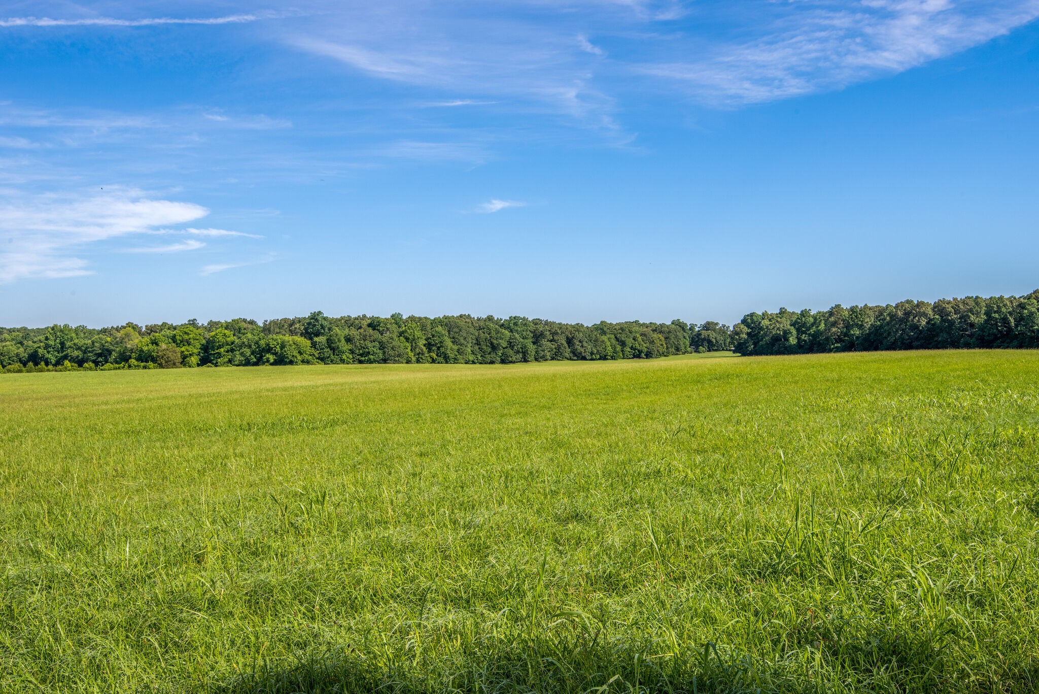 0 Eno Road Dickson, TN 37055 - Photo 5 of 27 a view of an ocean and a city