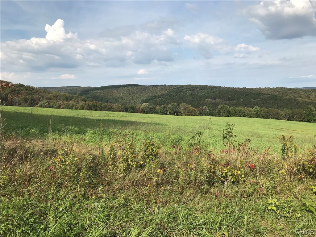 0 Potter Hill Road Cincinnatus, NY 13040 - Photo 1 of 1 Gallery Image 1