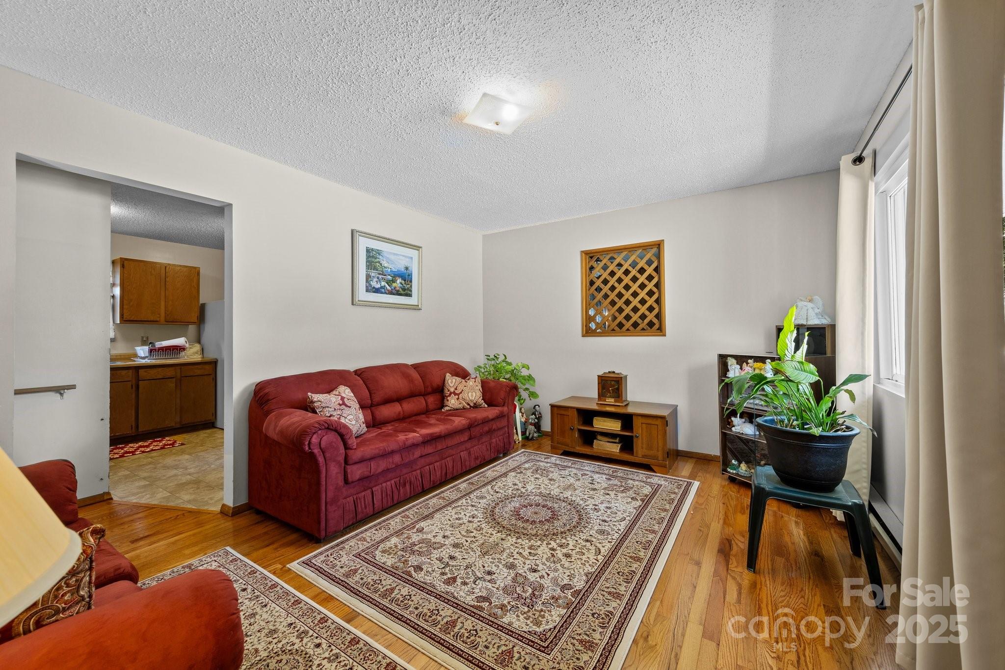 204 Cedar Hill Road Asheville, NC 28806 - Photo 5 of 25 a living room with furniture and a rug