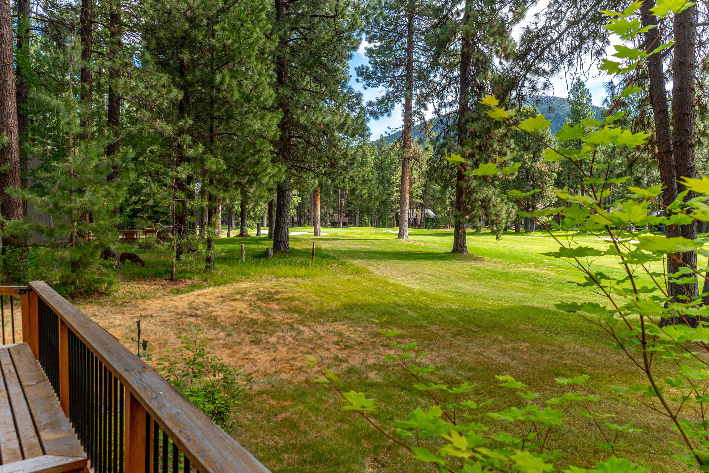 71032 Fiddle Neck Lane Black Butte Ranch, OR 97759 - Photo 35 of 43 98
