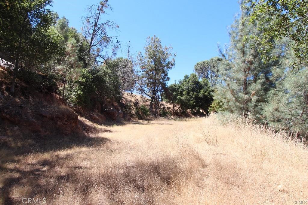 5191 Lake Road Lower Lake, CA 95457 - Photo 5 of 15 a view of a snow in a yard
