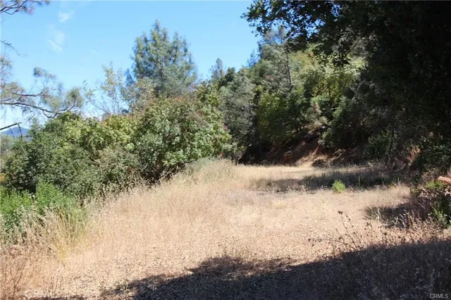 a view of water with lots of trees