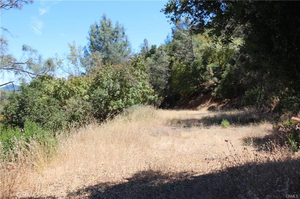 5191 Lake Road Lower Lake, CA 95457 - Photo 7 of 15 a view of water with lots of trees