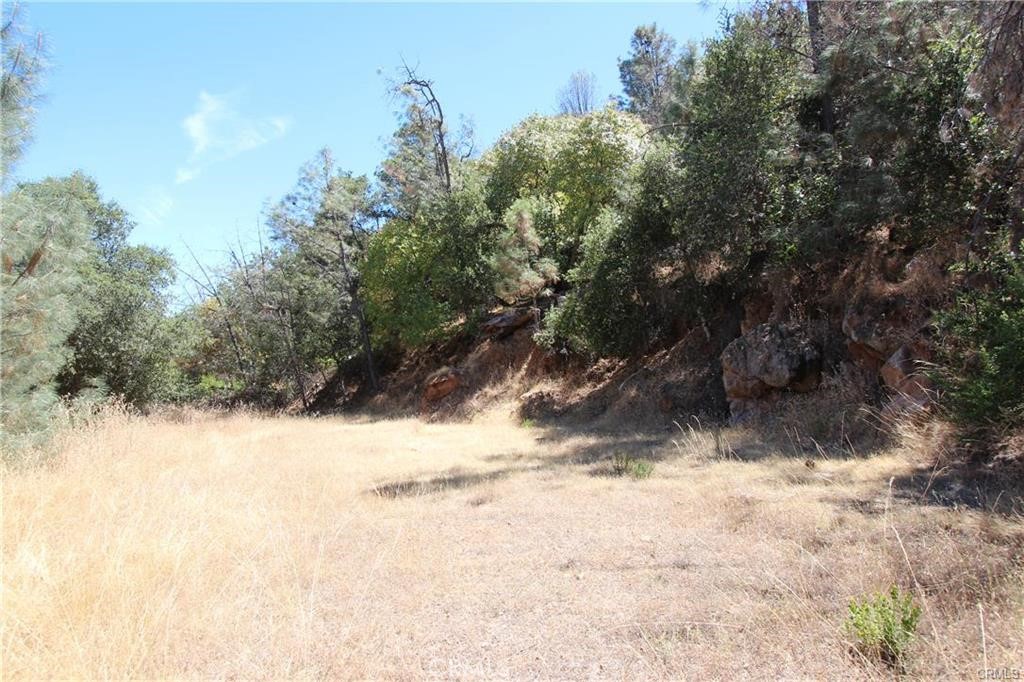 5191 Lake Road Lower Lake, CA 95457 - Photo 10 of 15 a view of a yard covered in snow