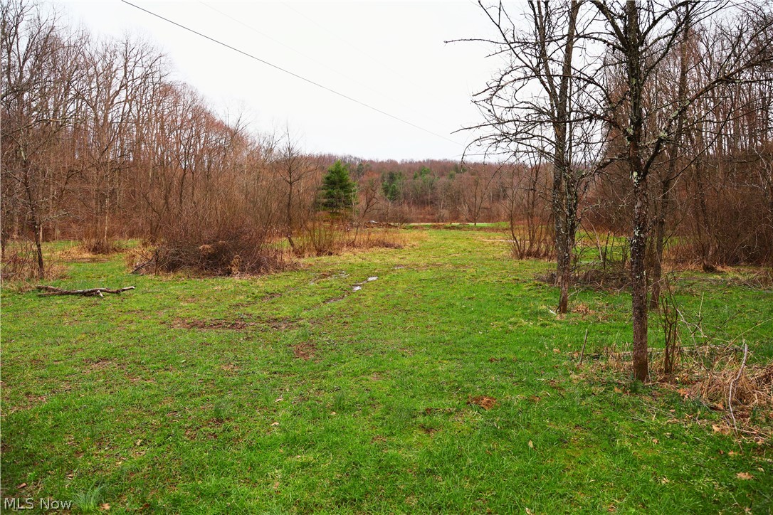 6030 Atkinson Creek Road Southeast Tippecanoe, OH 44699 - Photo 1 of 27