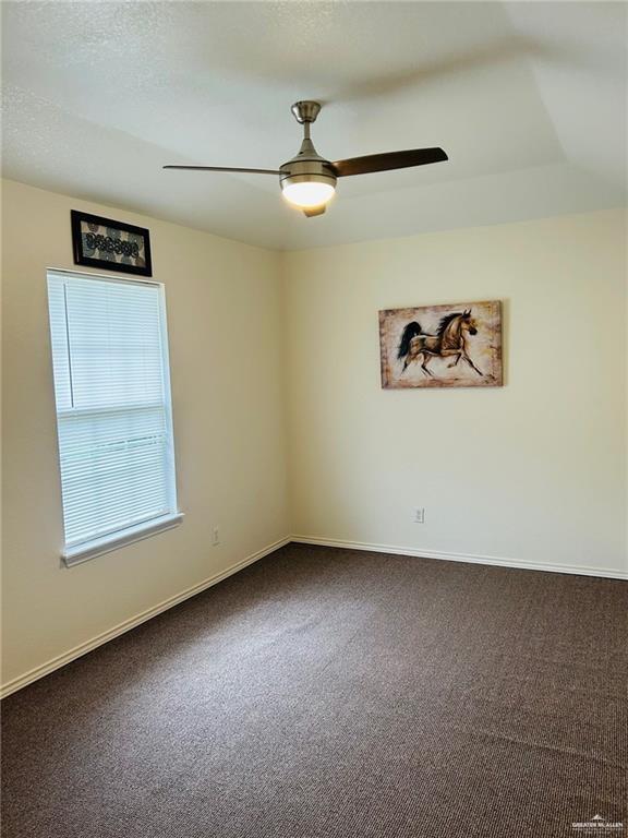 324 Estela Street Rio Grande City, TX 78582 - Photo 23 of 33