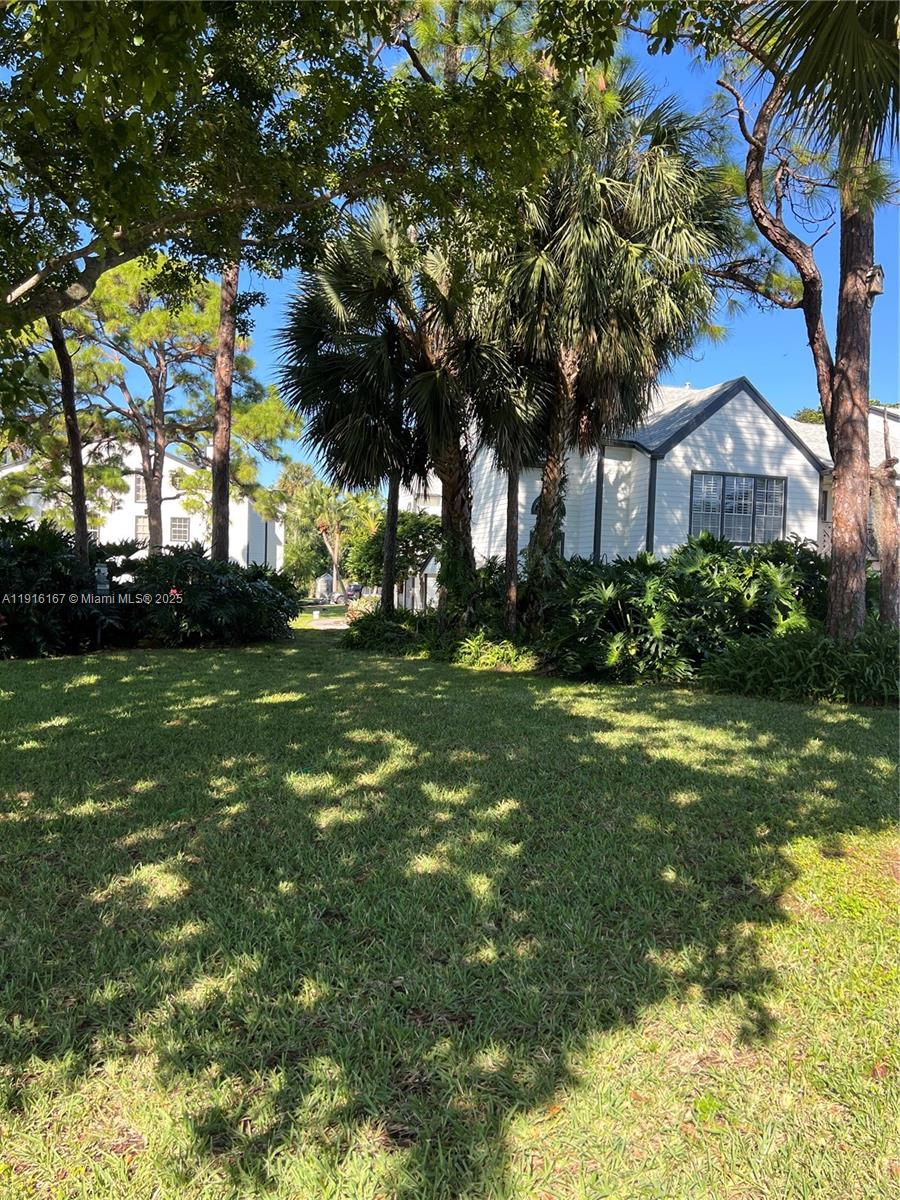 a view of a house with a tree in a yard