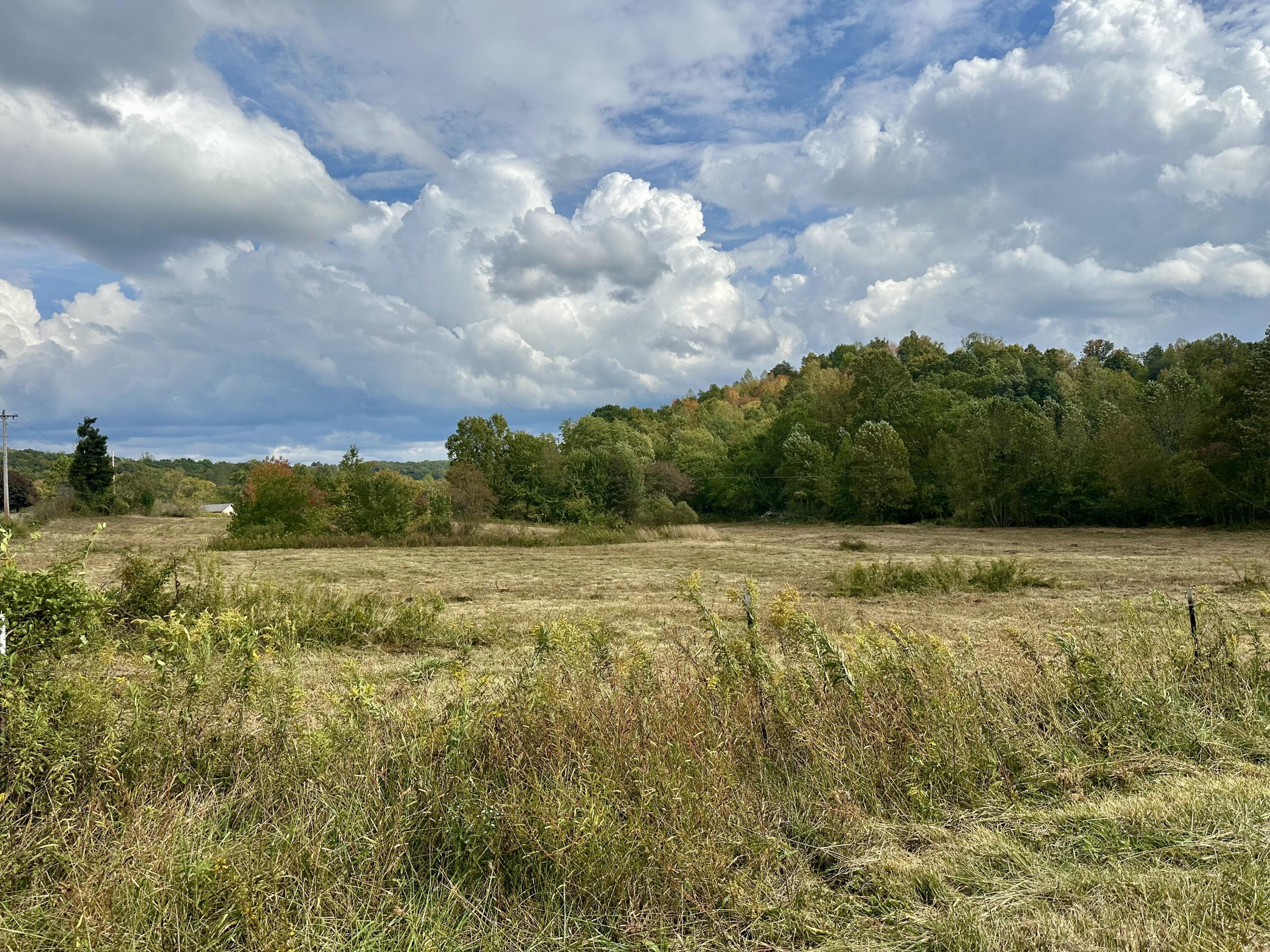 1073 Old Way Road London, KY 40741 - Photo 34 of 35 LEVEL ACREAGE