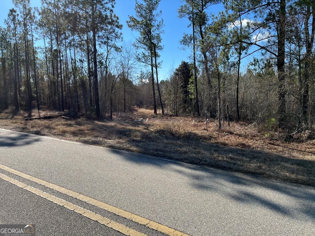 0 Walden Road Soperton, GA 30457 - Photo 1 of 1 Main View