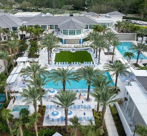 a view of a yard with a palm tree