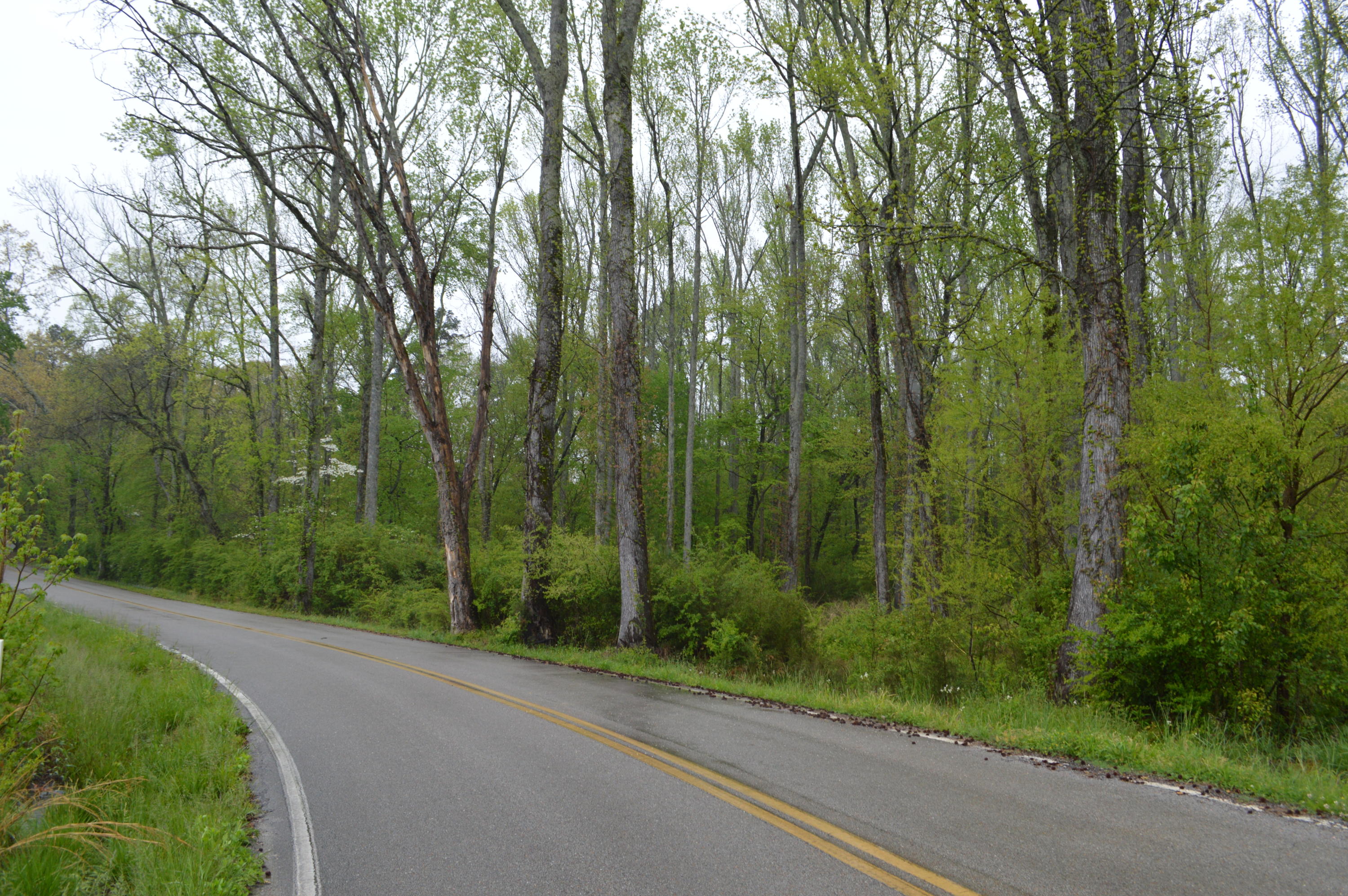 5509 Hunter Road Ooltewah, TN 37363 - Photo 26 of 27 DSC_0222