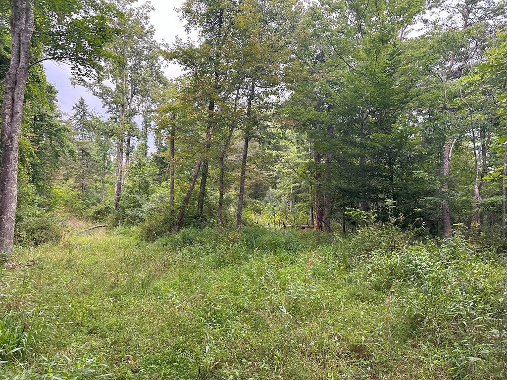 Tbd Claytor Road Northeast, Unit 17A7 Pilot, VA 24138 - Photo 8 of 16 Gallery Image 8