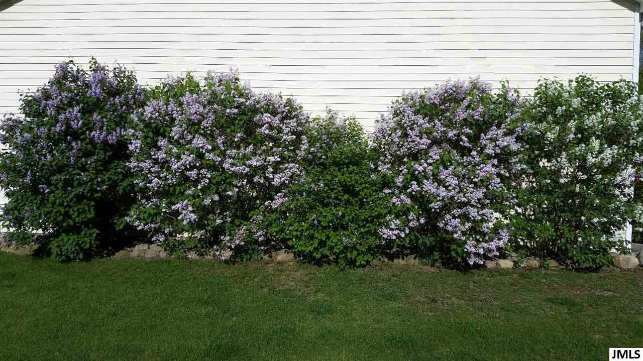7272 Draper Road Jackson, MI 49201 - Photo 8 of 31 Photo 8