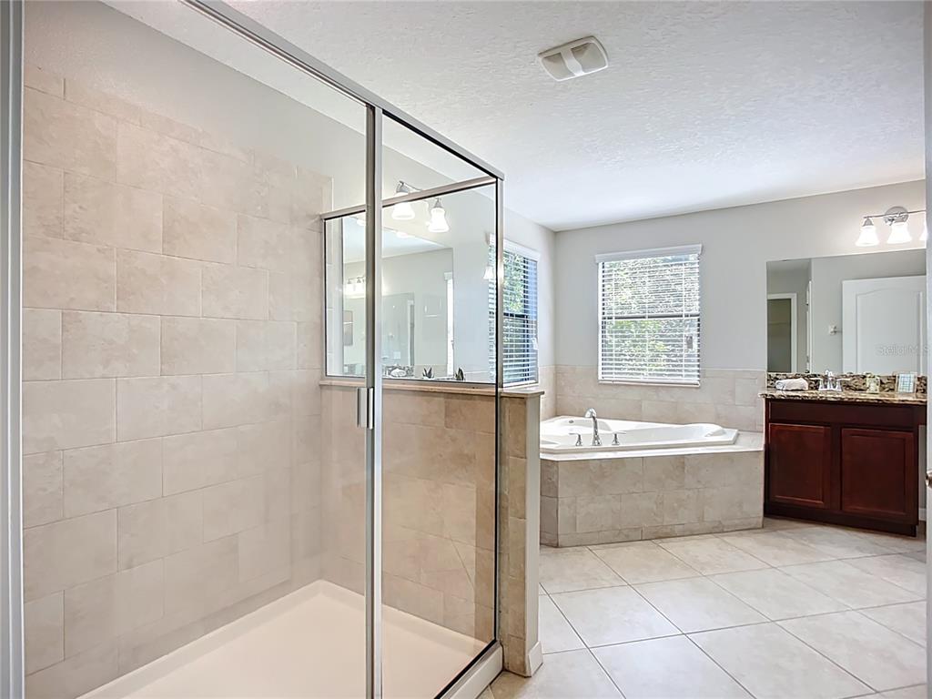 14240 Blue Dasher Drive Riverview, FL 33569 - Photo 16 of 25 a bathroom with a bathtub shower and mirror
