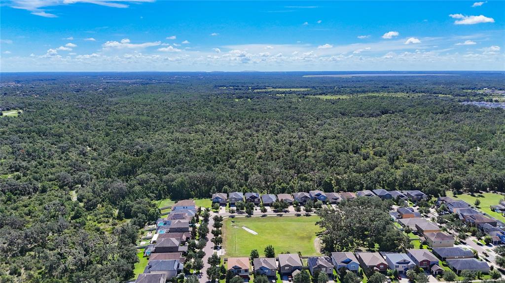 14240 Blue Dasher Drive Riverview, FL 33569 - Photo 23 of 25 a view of a city with an ocean