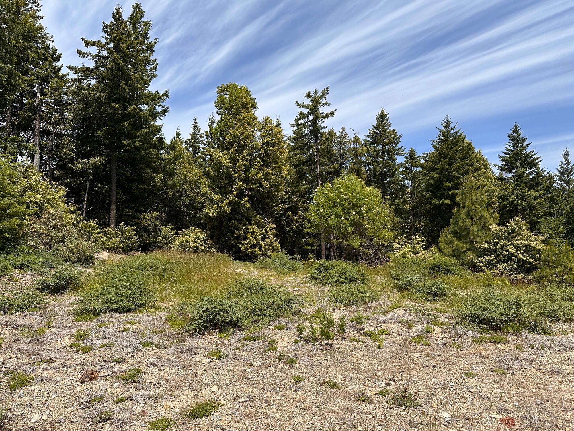 165 Three Creeks Road Blue Lake, CA 95525 - Photo 19 of 35