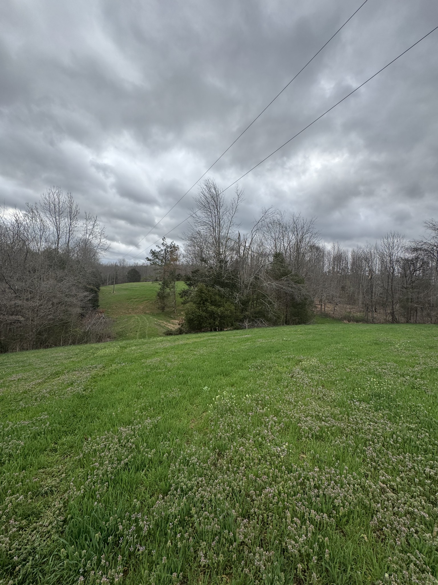 0 Bakerton Road Red Boiling Springs, TN 37150 - Photo 1 of 9