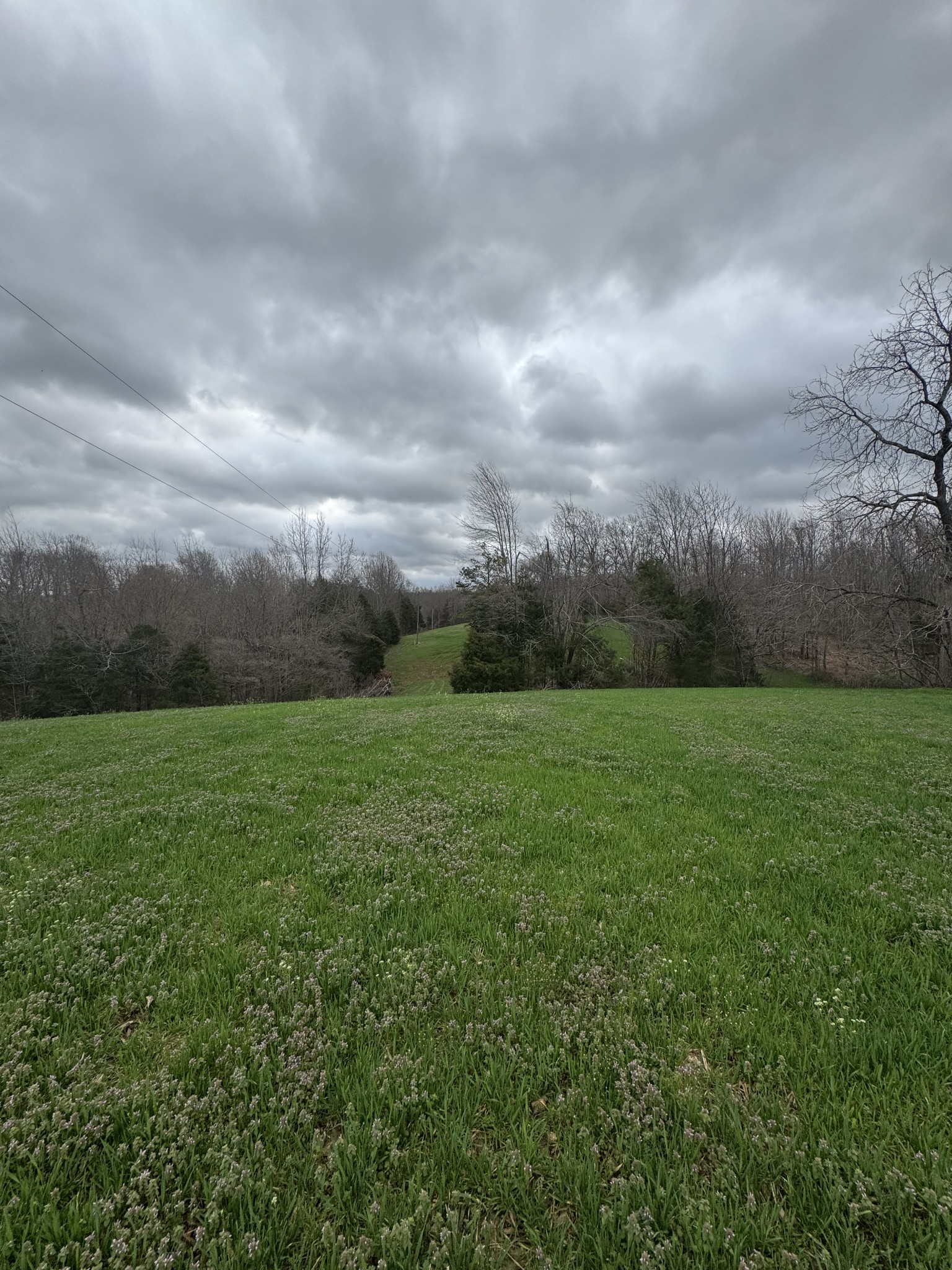 0 Bakerton Road Red Boiling Springs, TN 37150 - Photo 2 of 9