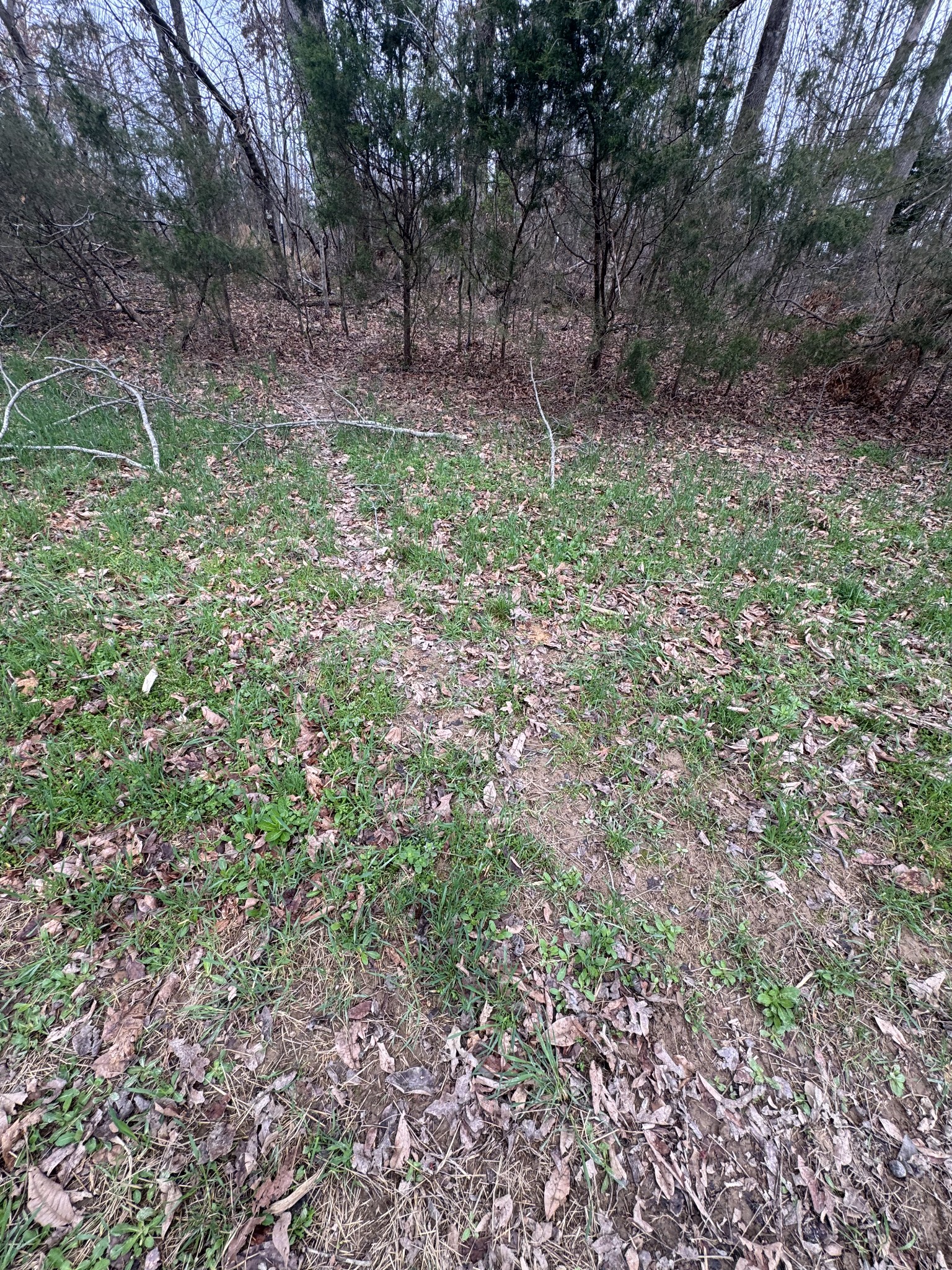 0 Bakerton Road Red Boiling Springs, TN 37150 - Photo 3 of 9