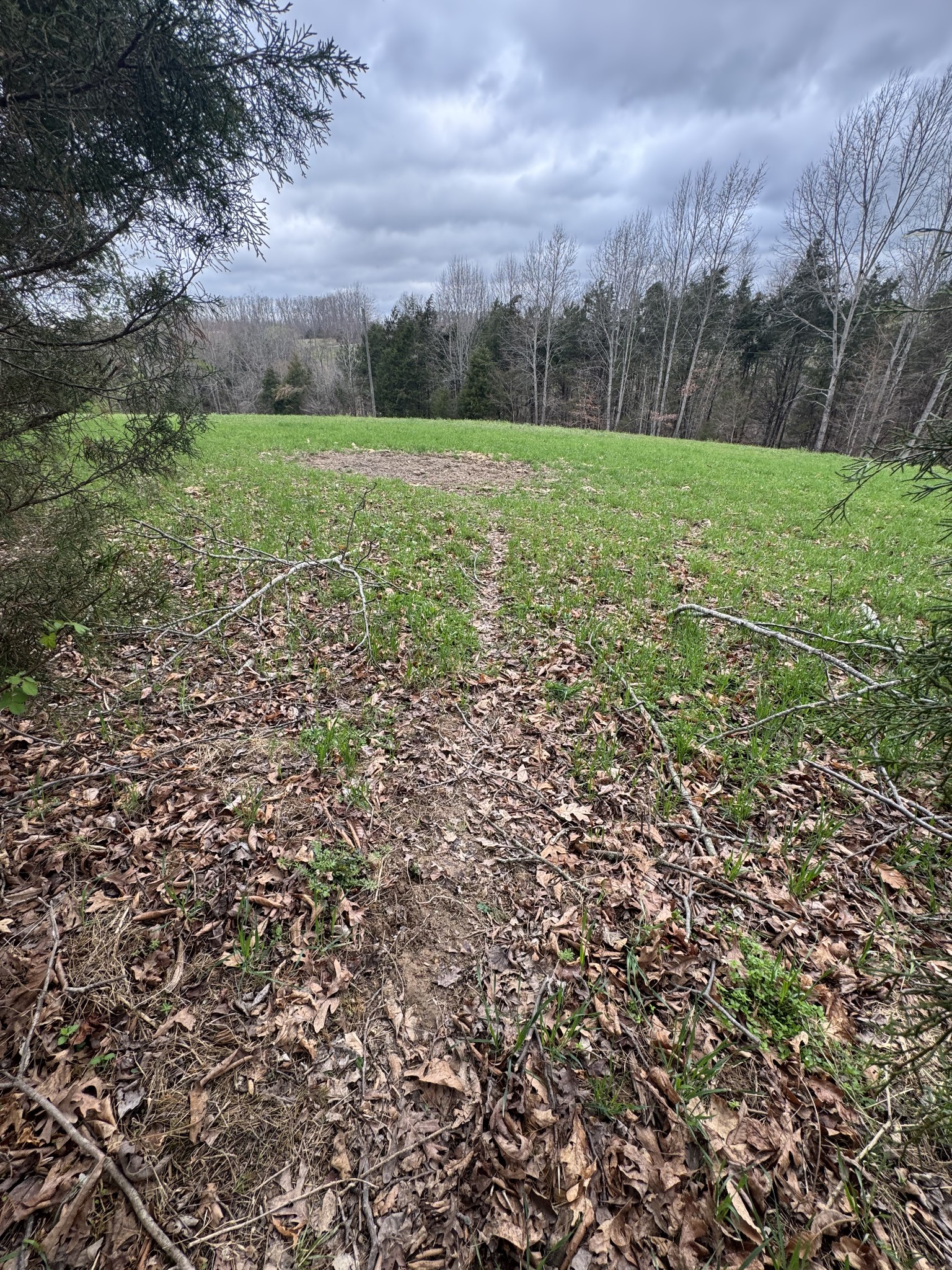 0 Bakerton Road Red Boiling Springs, TN 37150 - Photo 4 of 9