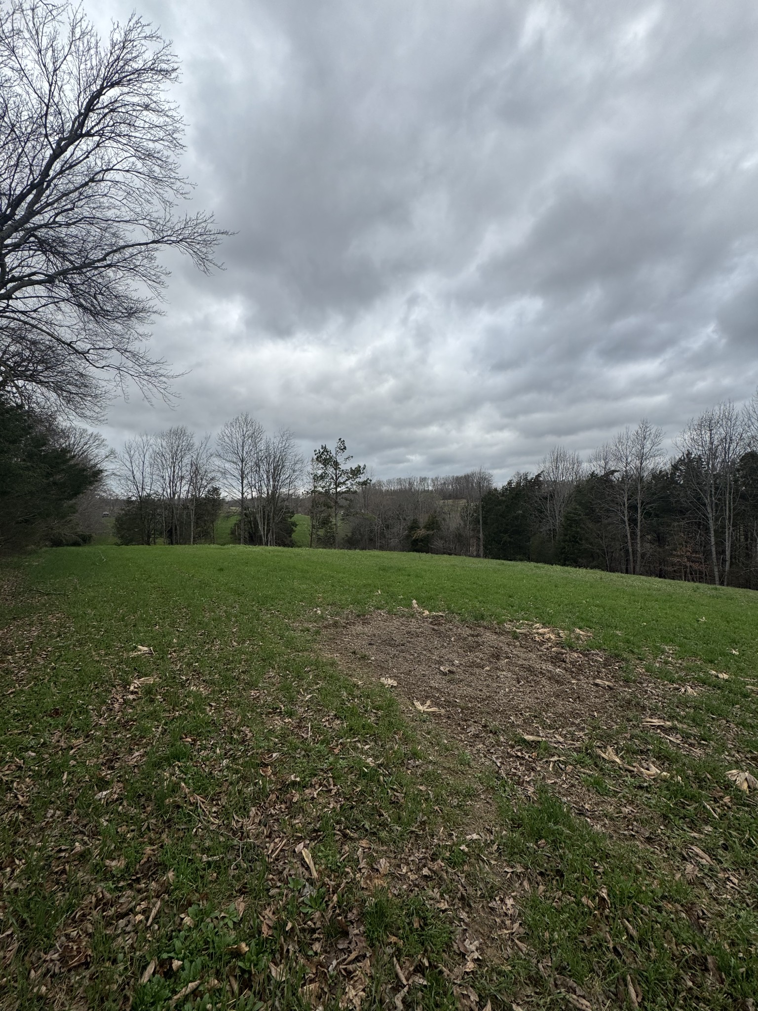 0 Bakerton Road Red Boiling Springs, TN 37150 - Photo 5 of 9