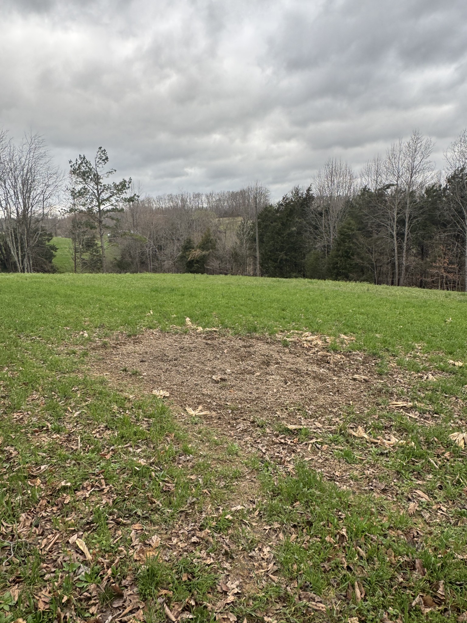 0 Bakerton Road Red Boiling Springs, TN 37150 - Photo 6 of 9