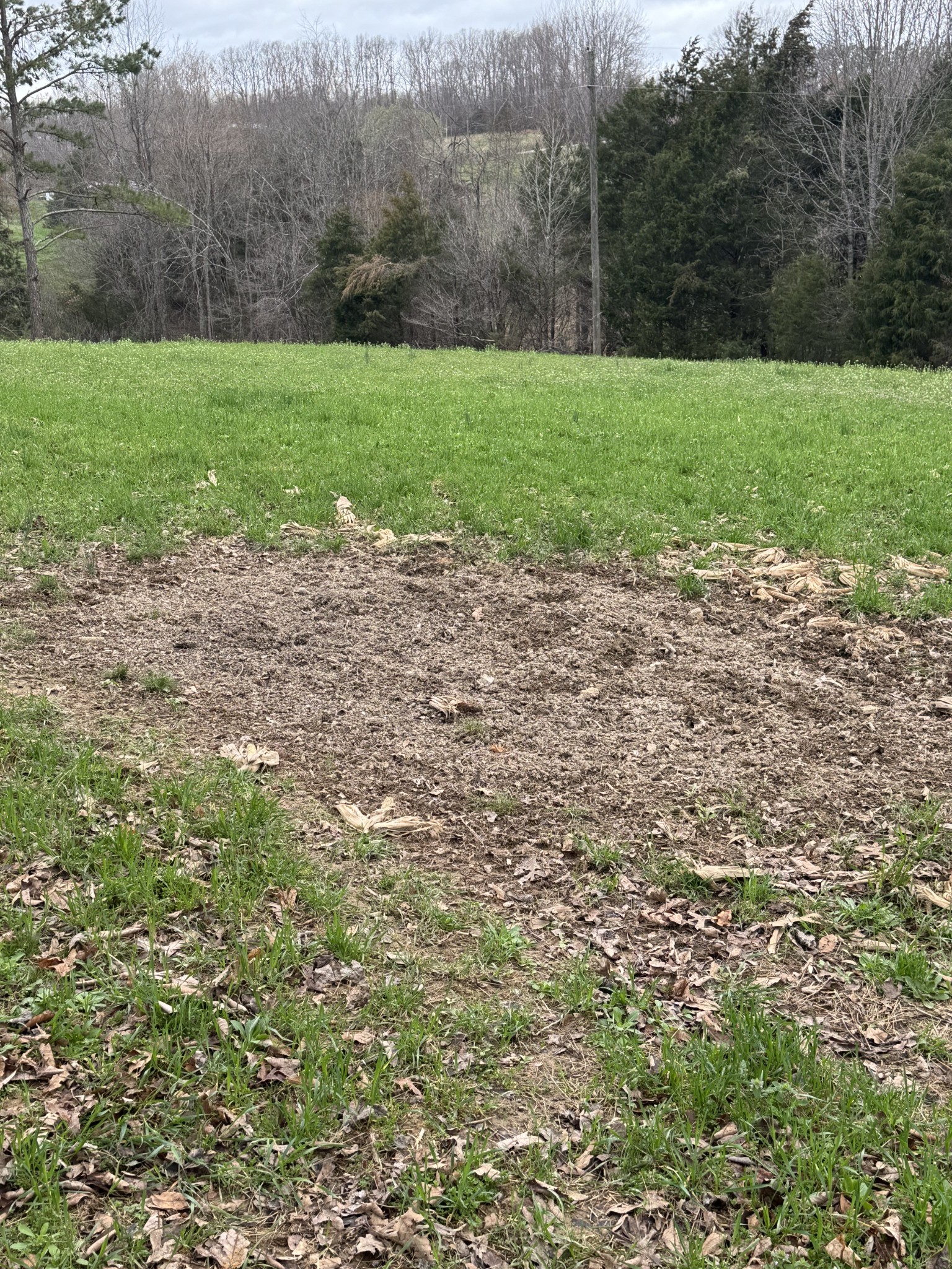 0 Bakerton Road Red Boiling Springs, TN 37150 - Photo 7 of 9